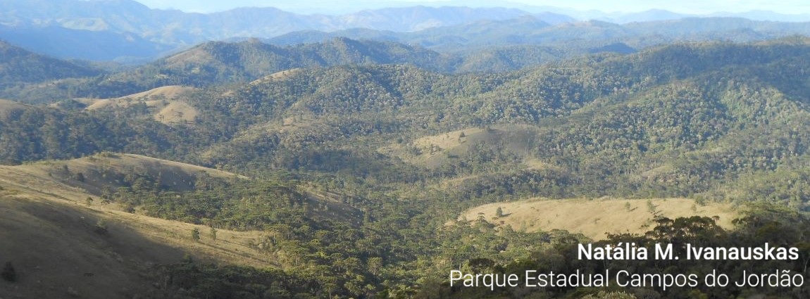Parque Estadual de Campos do Jordão